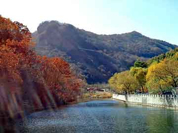 澳门天天免费精准大全，深圳市屏风